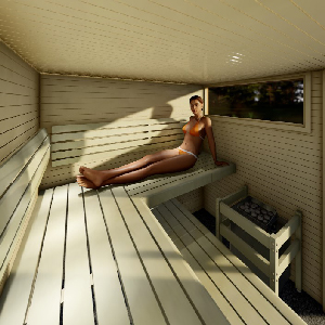 Finnish sauna 360 degree